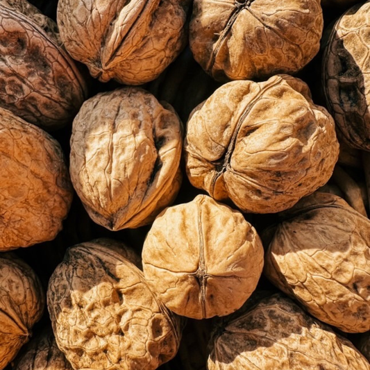 🌰 Pack de 3 bouteilles - Huile de noix 25 cl